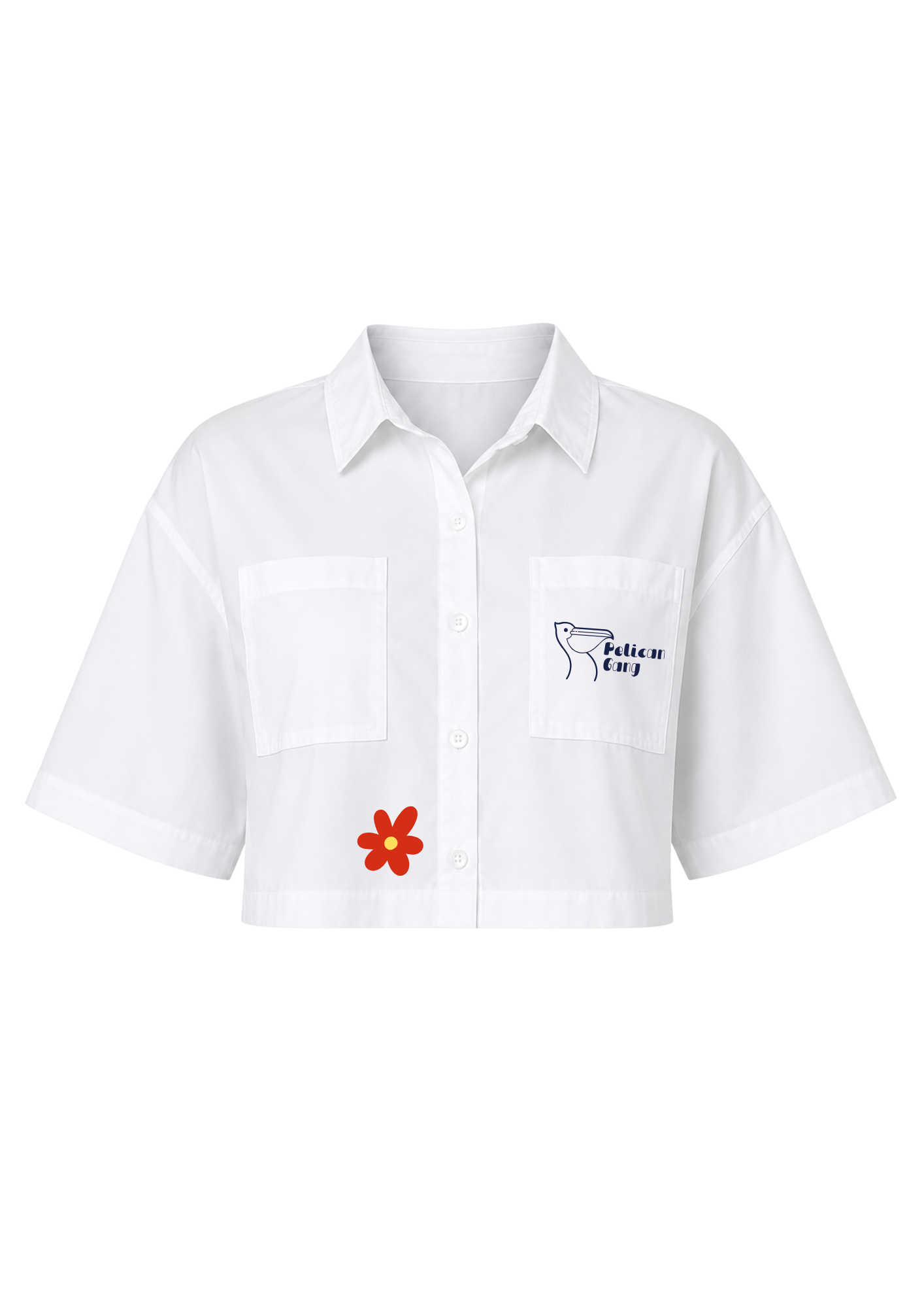 Chemise courte collection lapwent