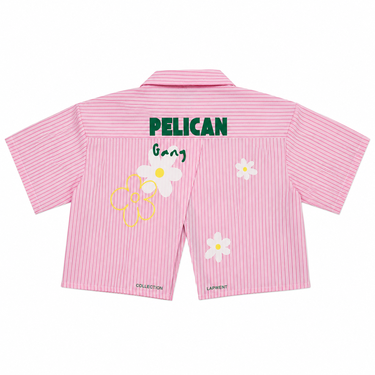 Chemise rose courte collection Lapwent
